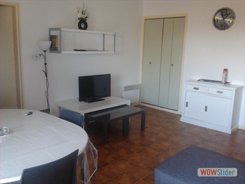 Salon, Salle à manger